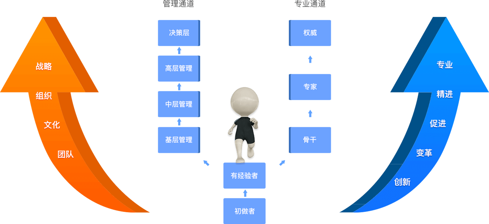 职业生涯